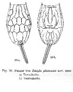 Voigt, M (1904): Plöner Forschungsberichte 11 